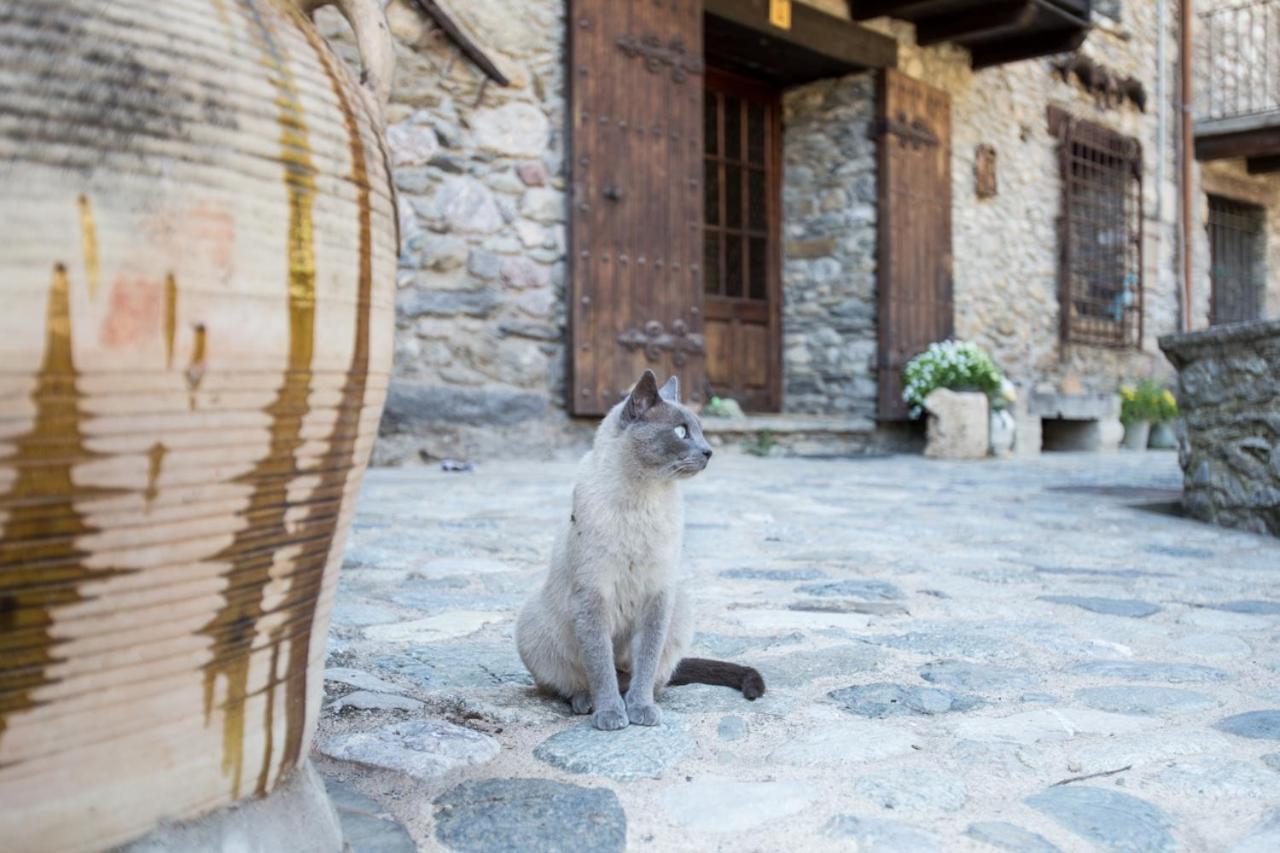 Can Criach Beget Exterior photo